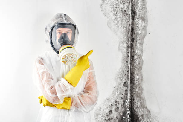 Best Forensic Mold Investigation  in Maan, ND